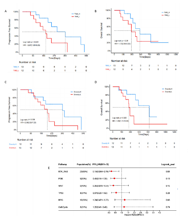 TMB、TCR多样性及RTK/RAS通路变异与治疗疗效显著相关