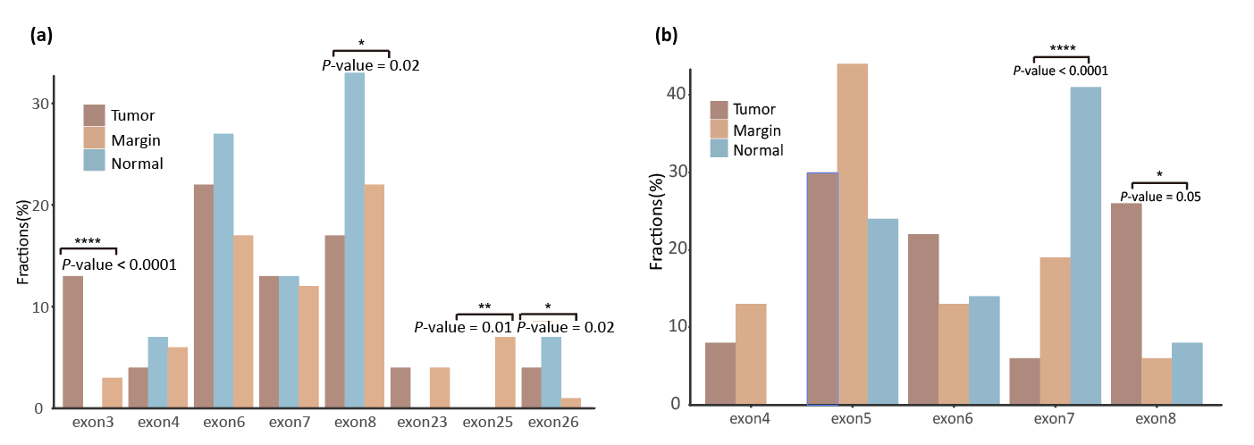 NOTCH1和TP53基因在手术切缘、正常组织和肿瘤组织中的突变位置