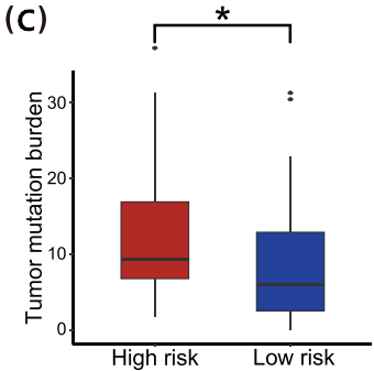 37000vip威尼斯学术文章