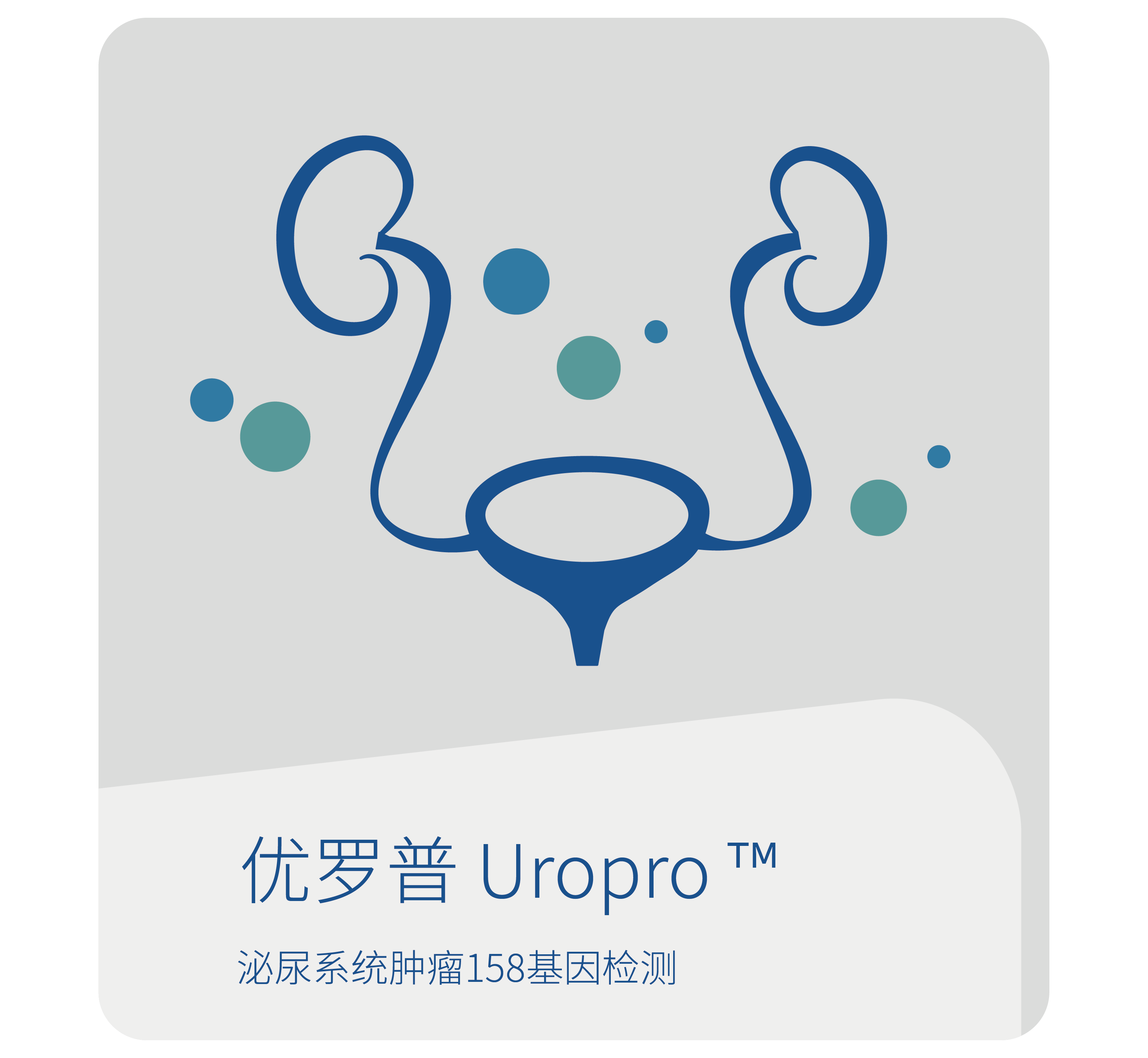 世和基因泌尿系统肿瘤-优罗普