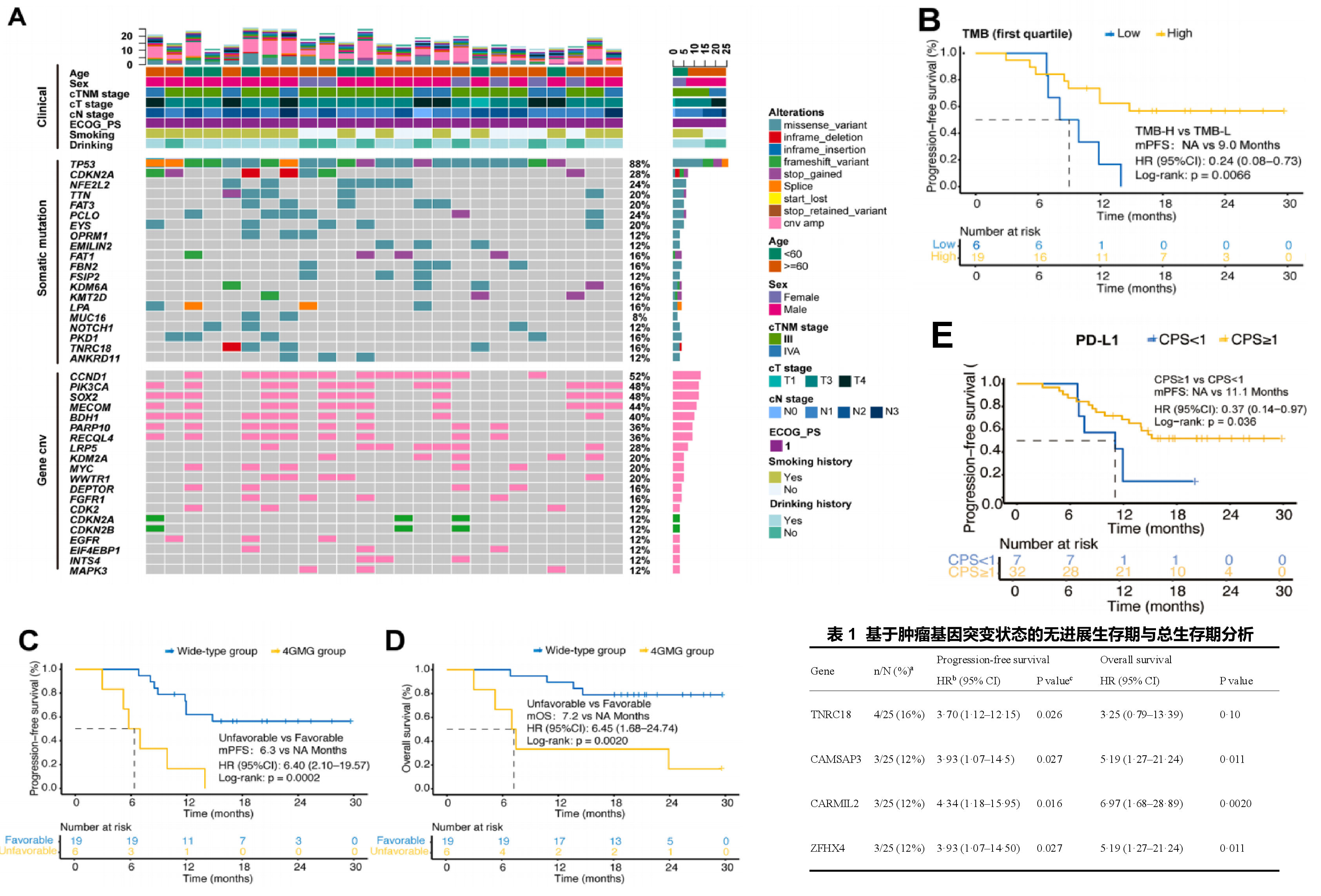 世和基因学术论文肿瘤基因检测