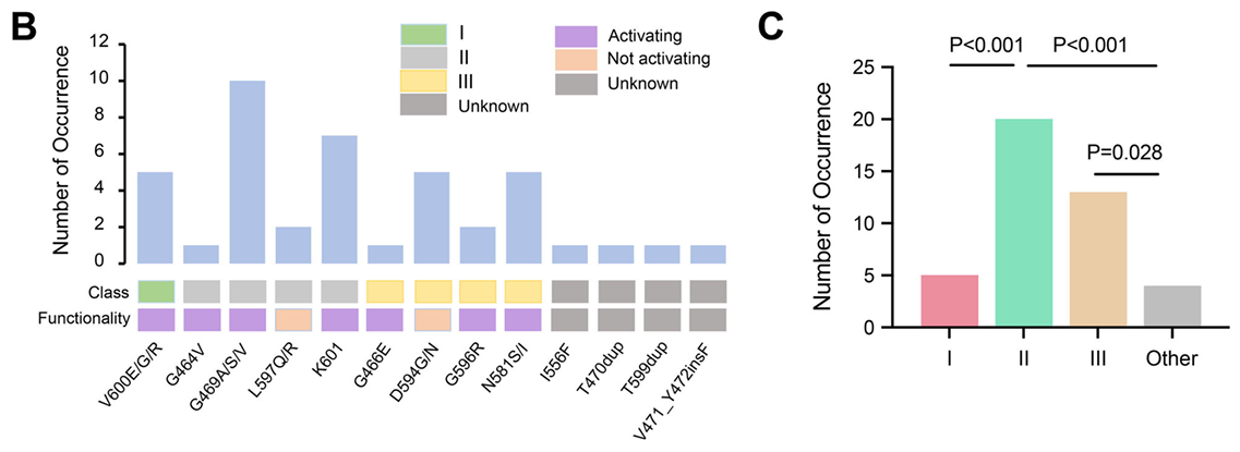 超级MPLC中关键驱动基因的突变位点和亚型分布