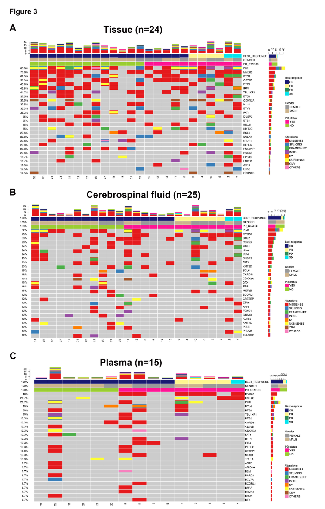肿瘤组织、脑脊液和血浆样本中的基因突变