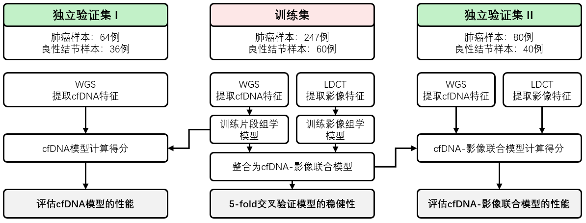 本研究的设计流程概况