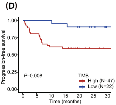 37000vip威尼斯学术文章