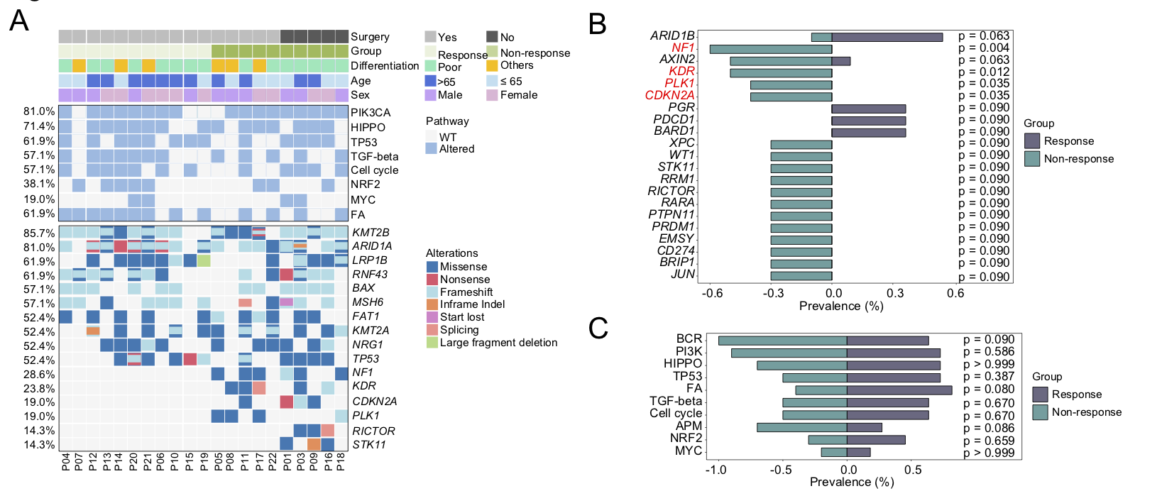 37000vip威尼斯基因肿瘤基因检测