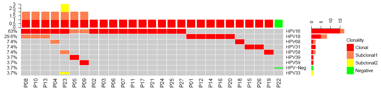 肿瘤患者HPV感染特征