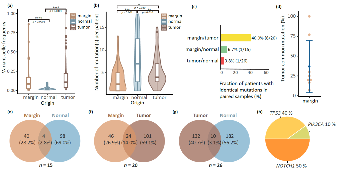 手术切缘、正常组织和肿瘤组织的突变景观