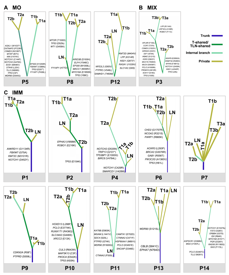 微信图片_20221206114844