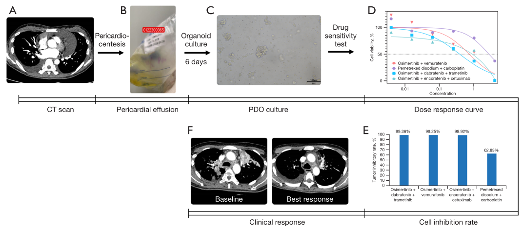 37000vip威尼斯基因学术文章