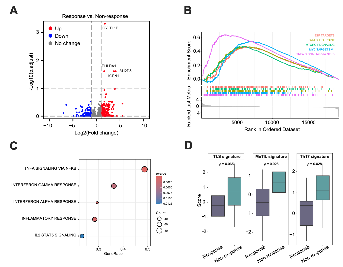 37000vip威尼斯基因肿瘤基因检测