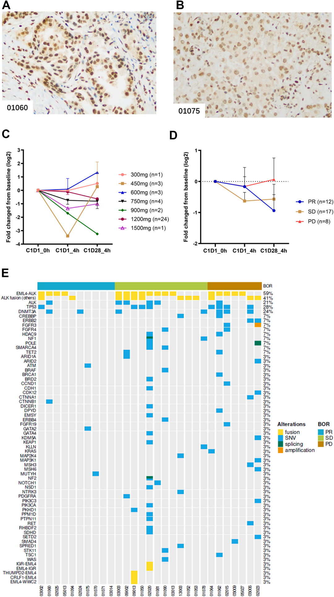 37000vip威尼斯助力亚盛医药APG-2449临床试验