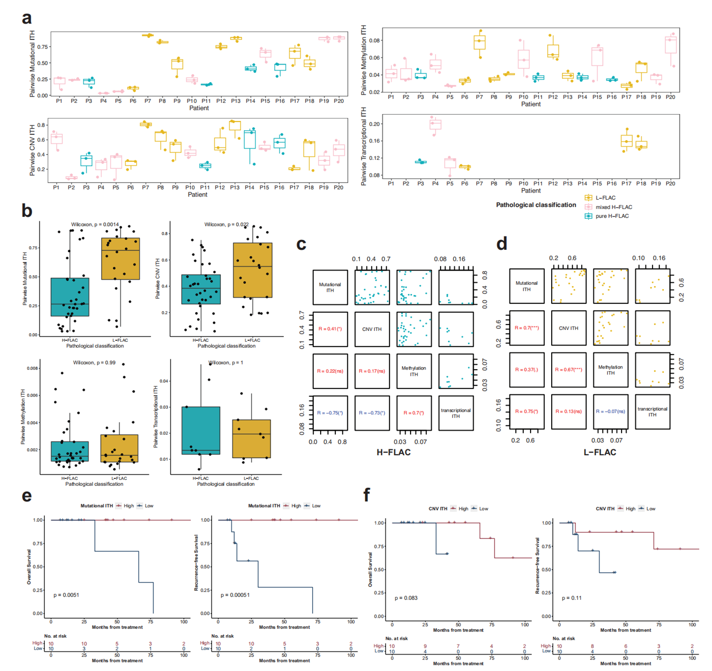 图4. FLAC中多层面瘤内异质性对比及对生存的影响