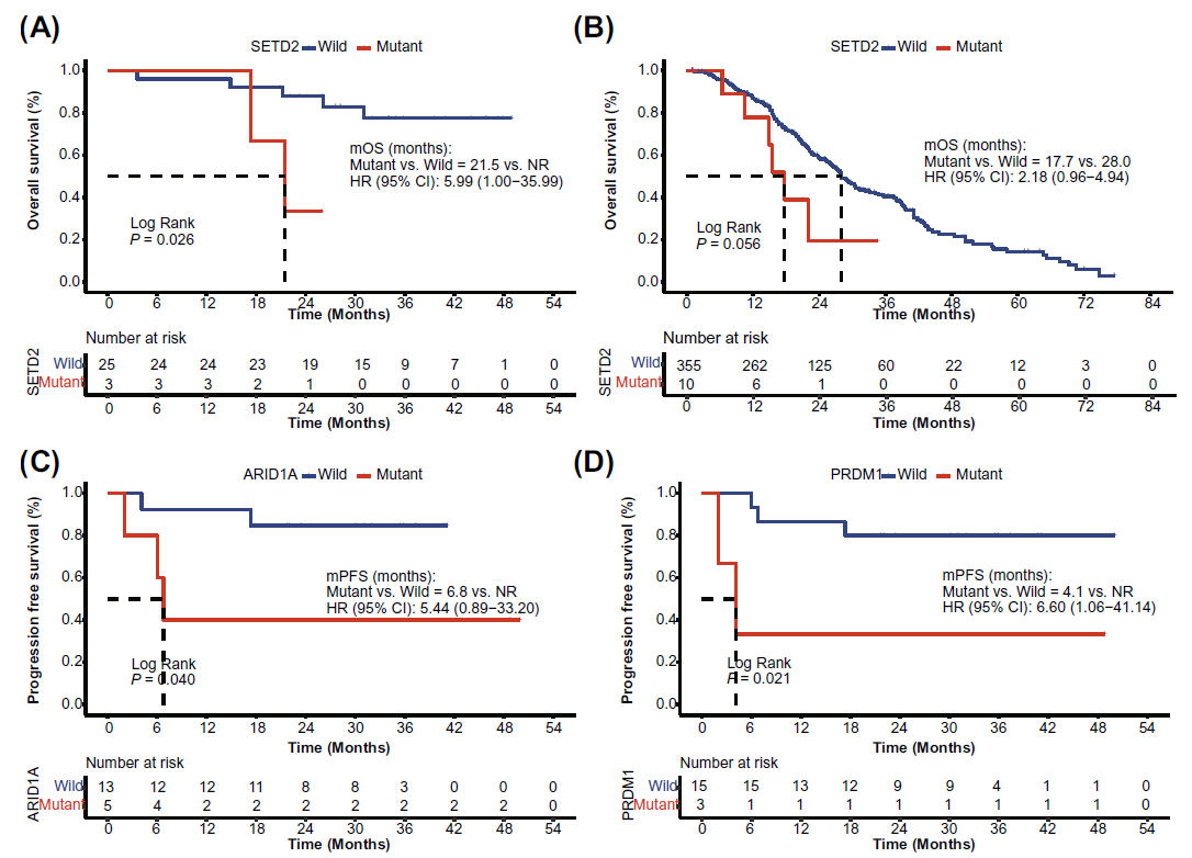 世和基因肿瘤基因检测学术论文
