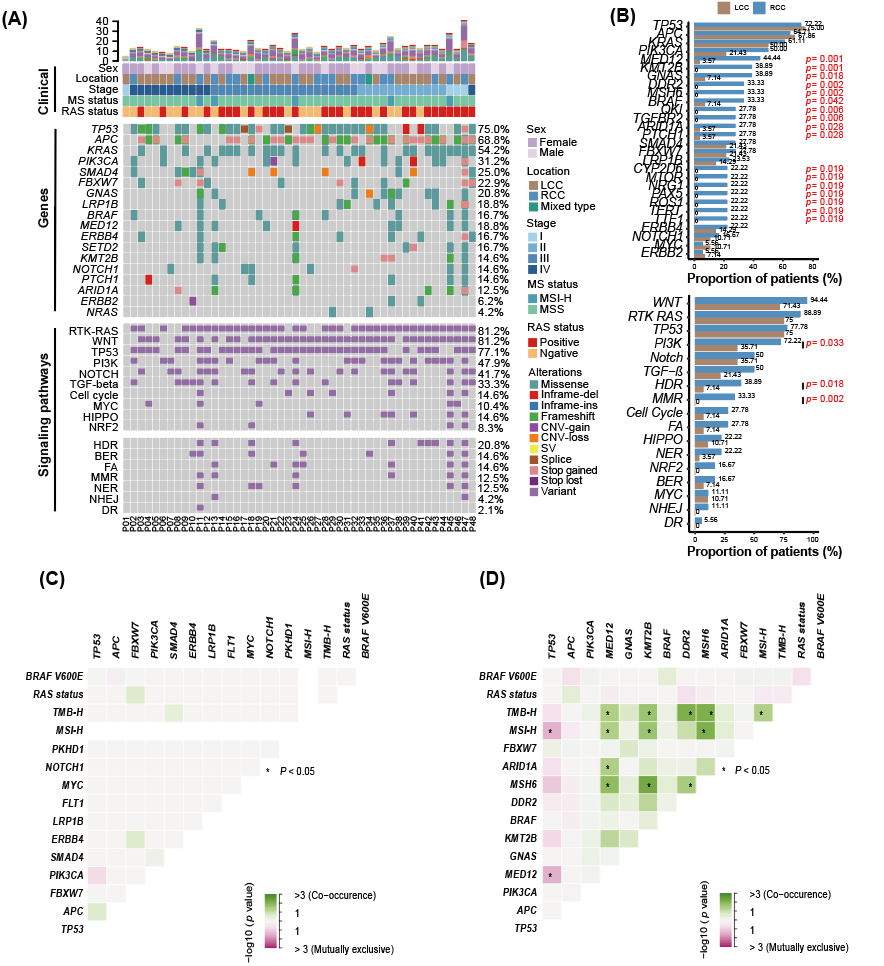 世和基因肿瘤基因检测学术论文