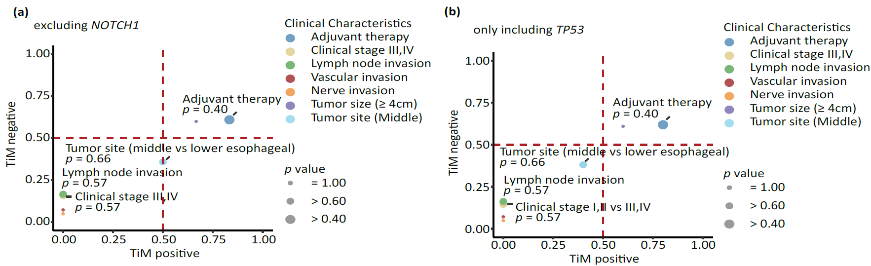 各临床病理特征与不同TiM状态的关联