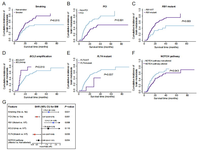与LS-SCLC脑转移累积发生率相关的风险因素