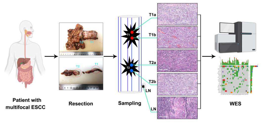 微信图片_20221206101441