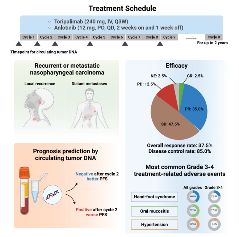 Cell Rep Med：ctDNA是晚期鼻咽癌免疫联合治疗潜在预后标志物
