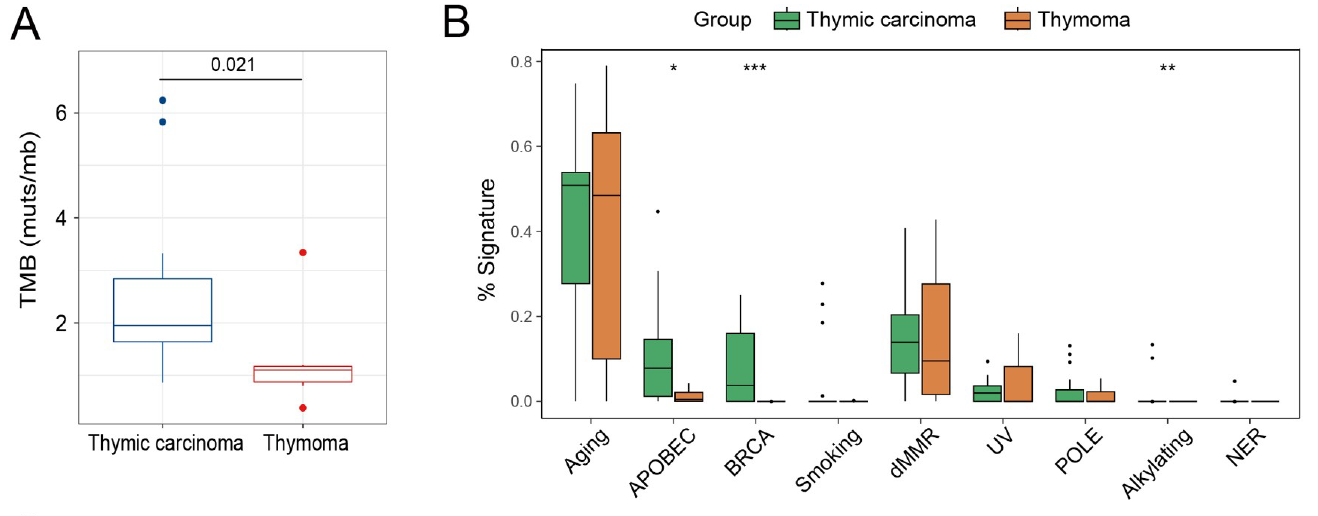 37000vip威尼斯基因肿瘤基因检测文章