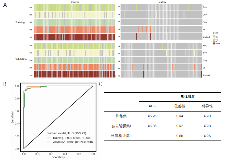 模型在不同数据集中的性能