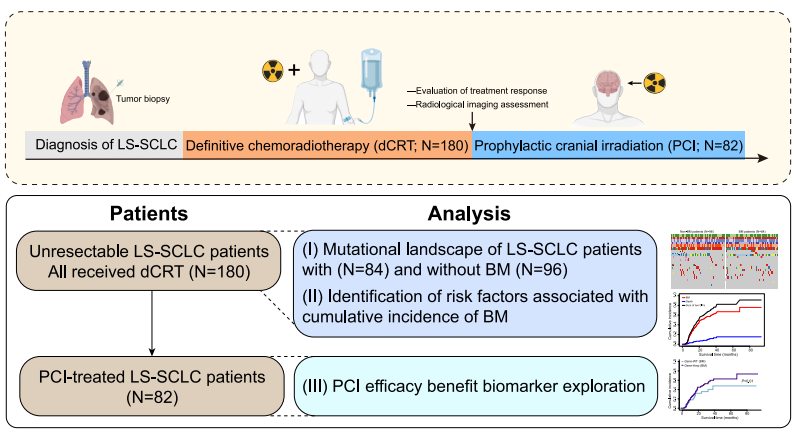 患者入组及分析流程