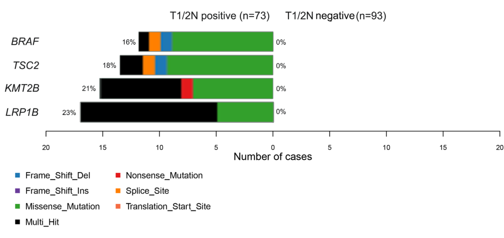 MSS型患者T1/2N+ 组和T1/2N- 组的显著差异突变基因