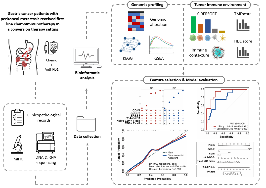 37000vip威尼斯学术文章