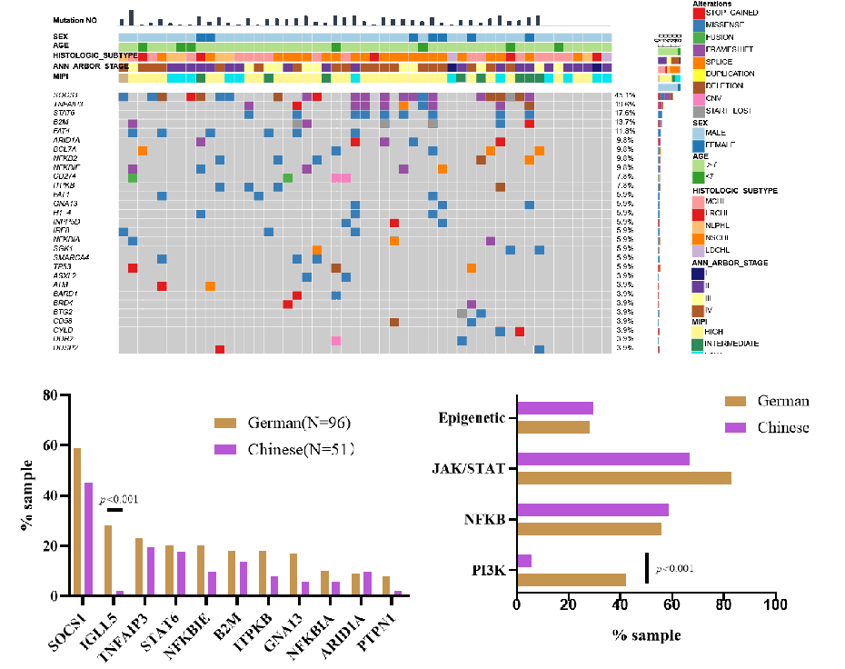37000vip威尼斯基因肿瘤基因检测学术文章