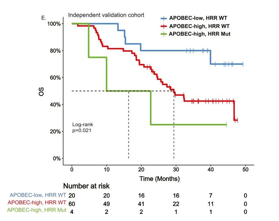 微信图片_20221011153608