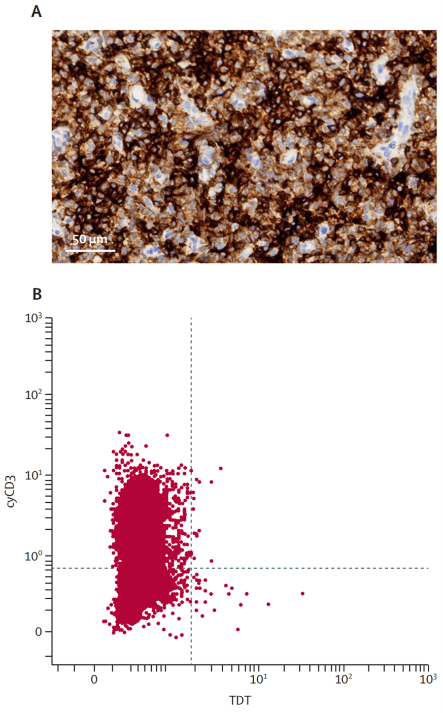 世和基因肿瘤学术文章