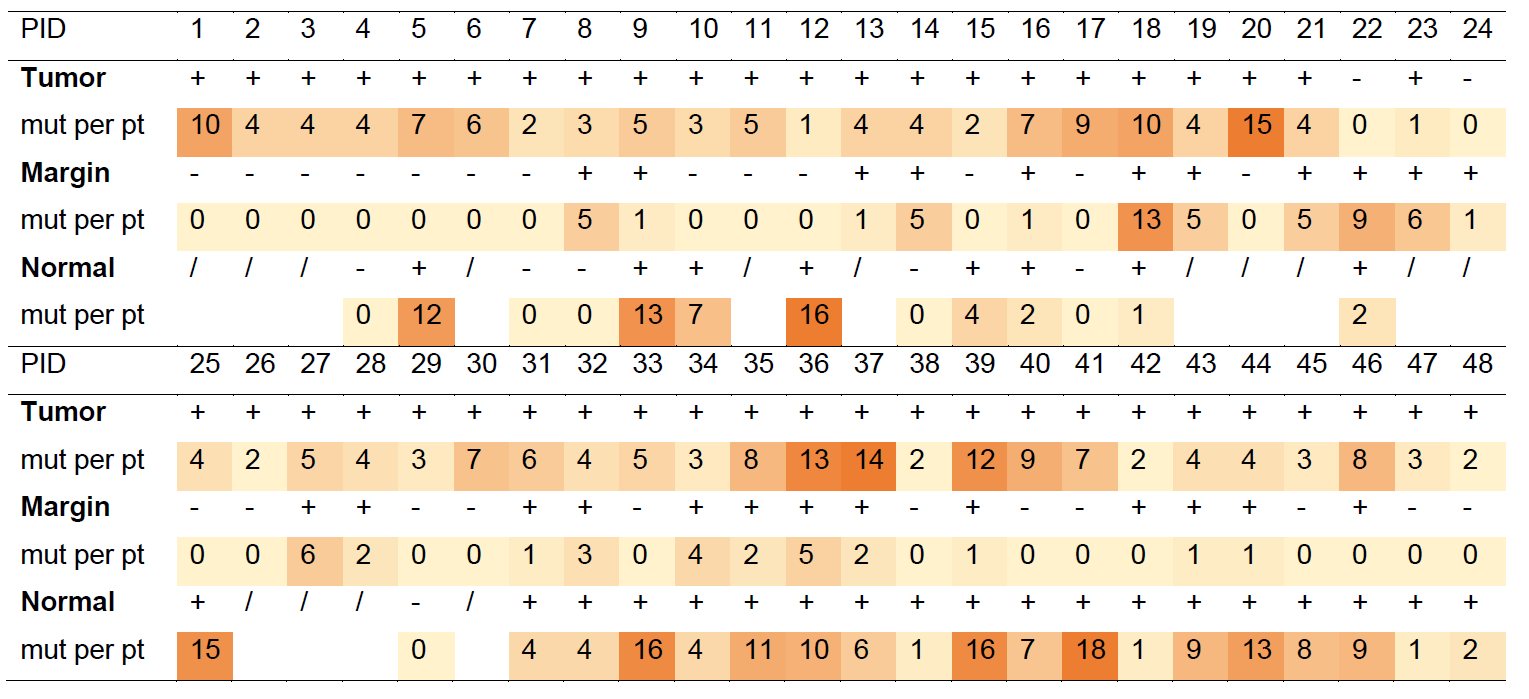 手术切缘、正常组织和肿瘤组织中体细胞突变数量
