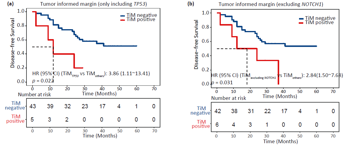 不同TiM状态与DFS的关联