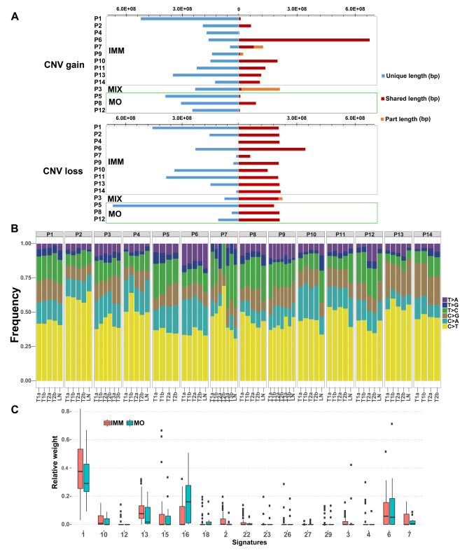 微信图片_20221206155931