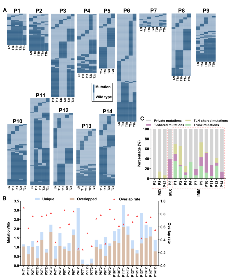 微信图片_20221206102557