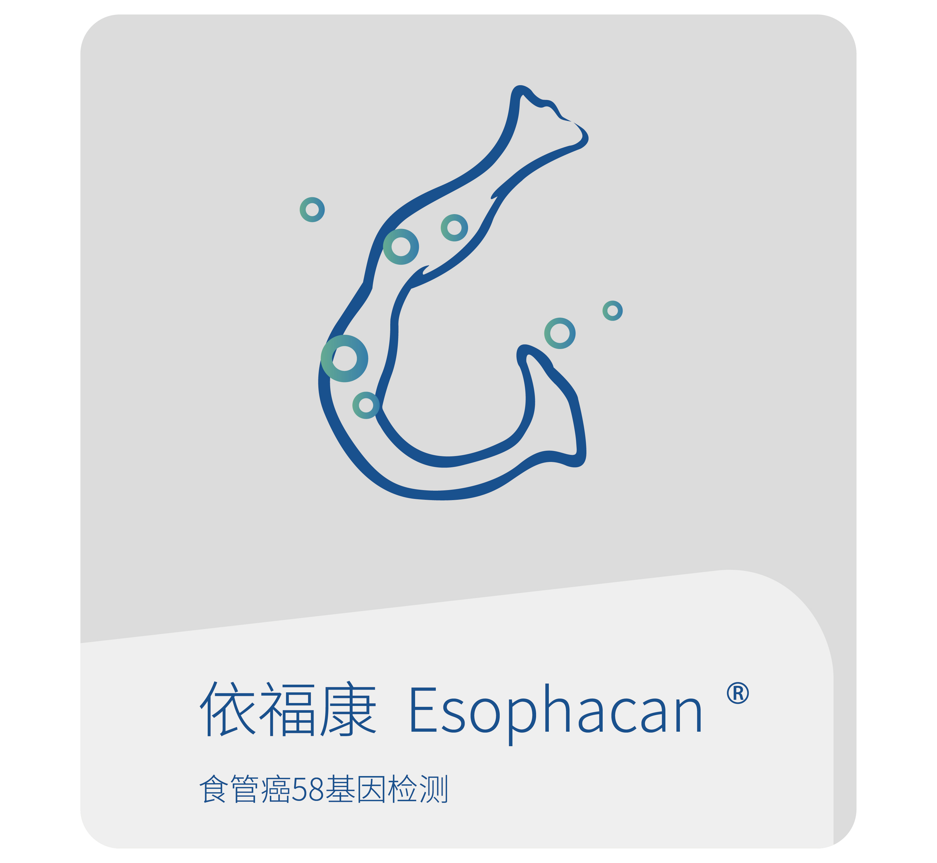 依福康-世和基因消化系统肿瘤基因检测产品