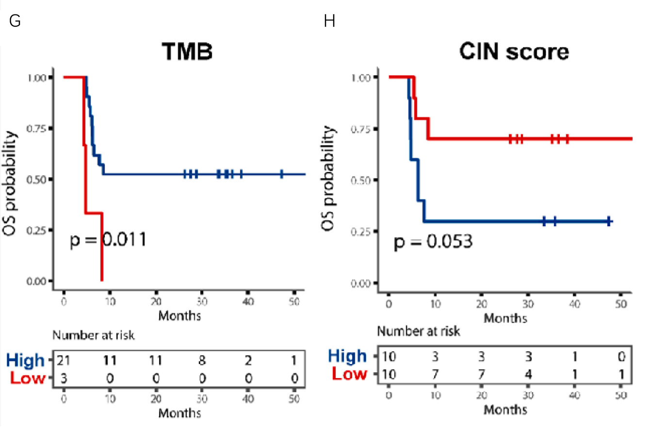 基因突变与患者生存的相关性