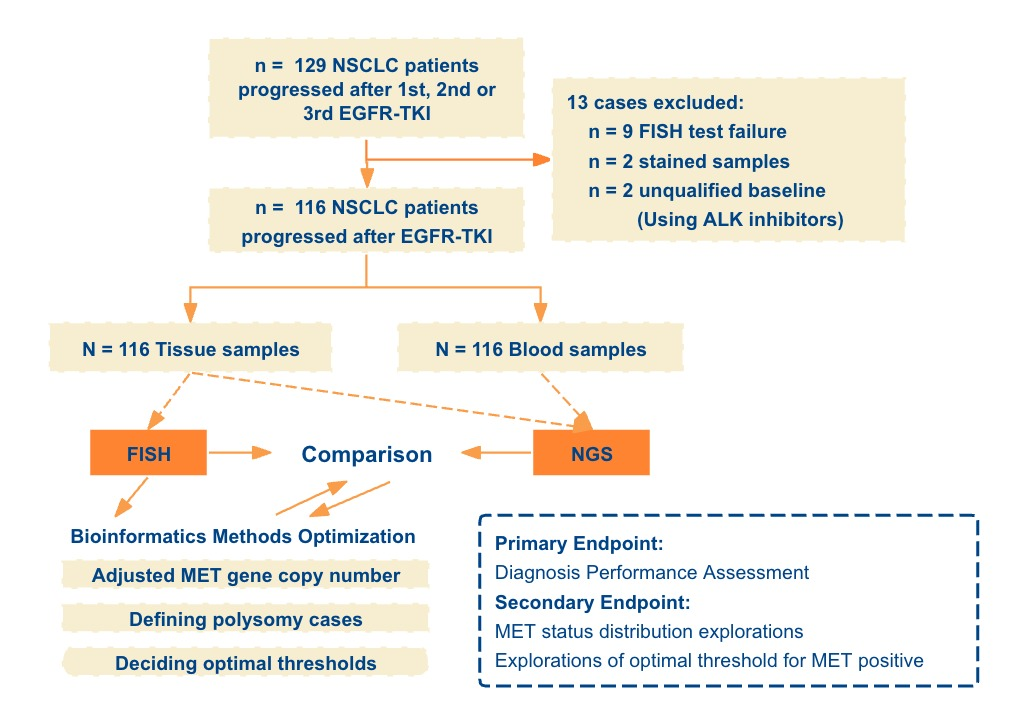 研究设计流程图