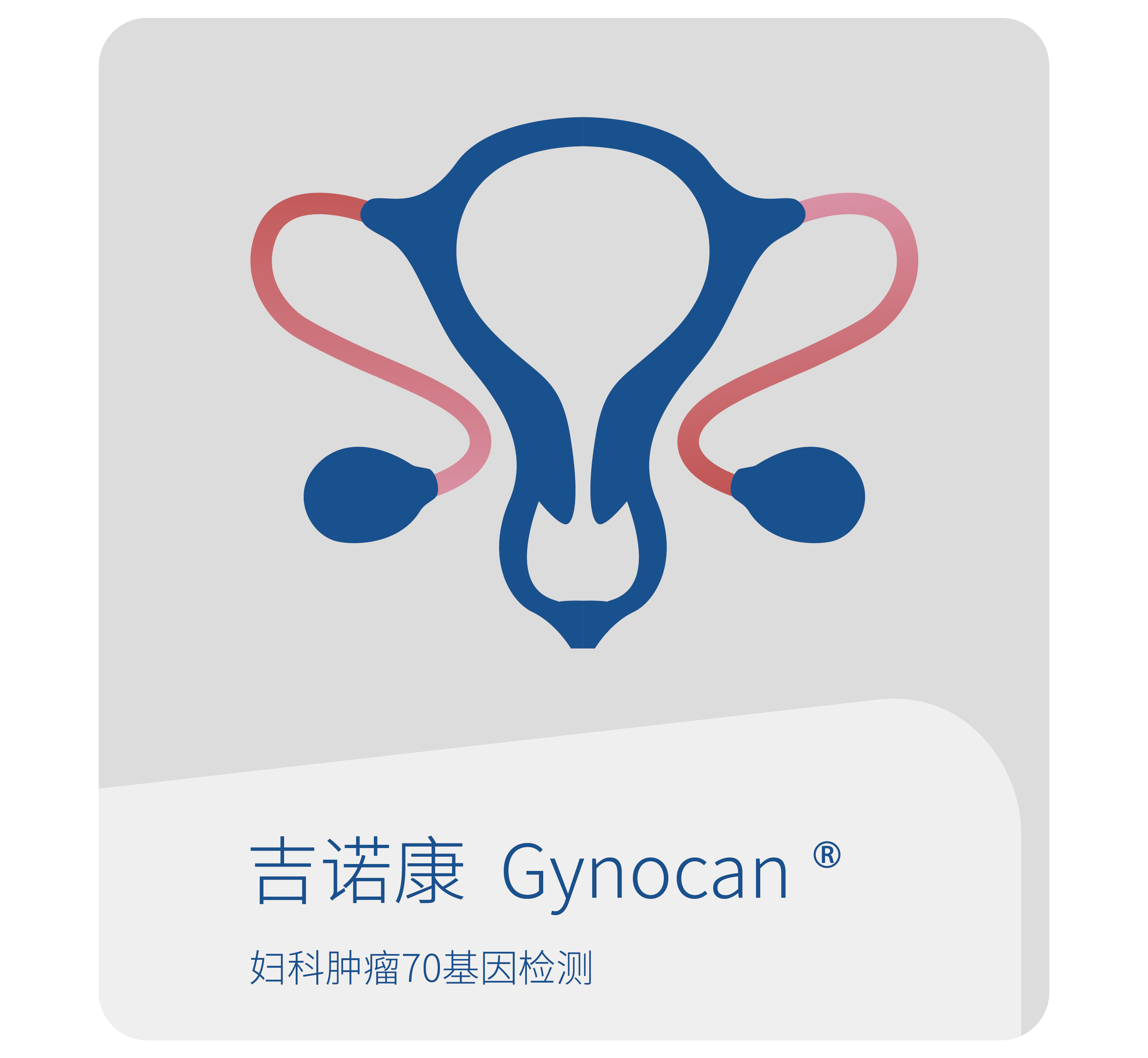 吉诺康-世和基因妇科肿瘤基因检测产品