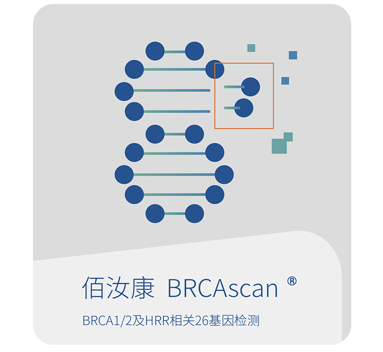 佰汝康-世和基因实体瘤基因检测产品
