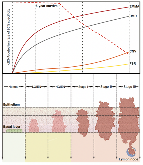 37000vip威尼斯基因学术文章