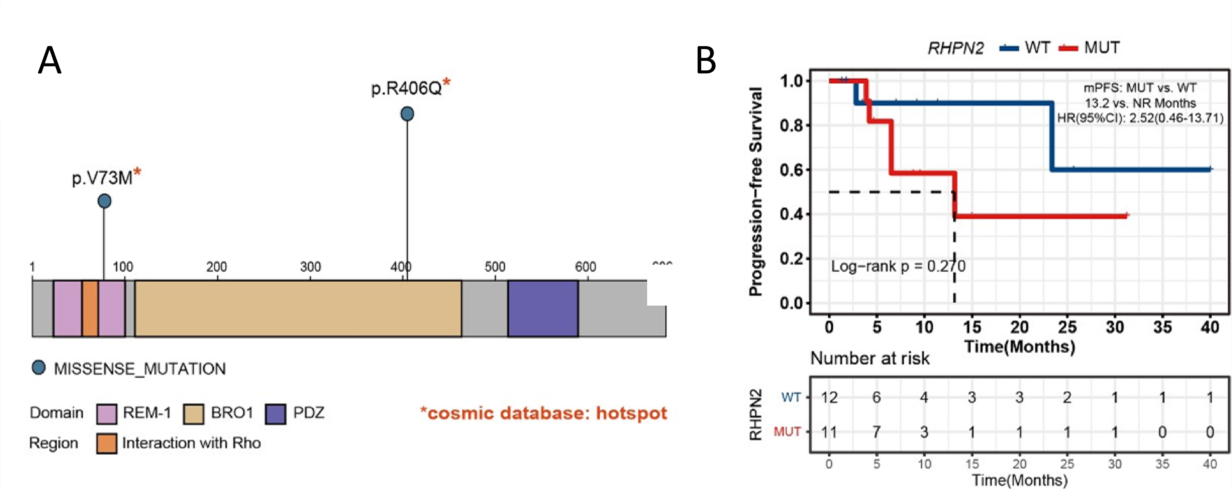 37000vip威尼斯基因肿瘤基因检测文章