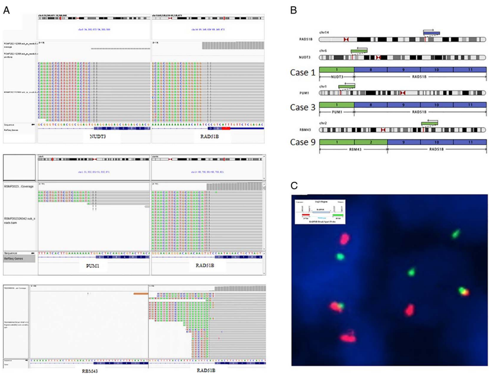 37000vip威尼斯基因肿瘤基因检测文章