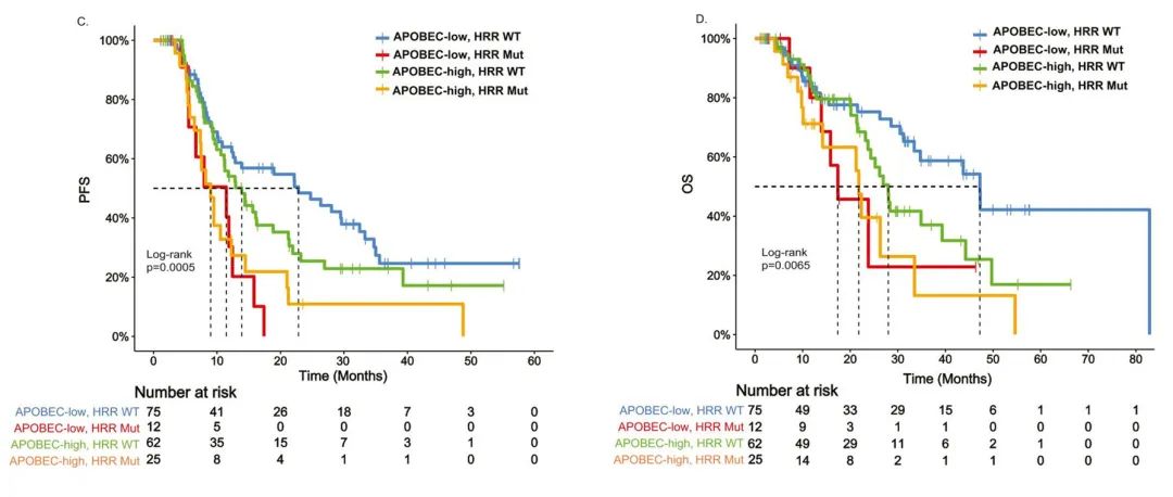 微信图片_20221011153605