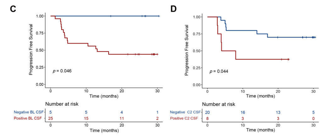  基线及第2周期后脑脊液ctDNA阴性/阳性患者PFS曲线