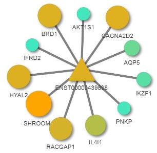 LncRNA与靶基因调控网络分析