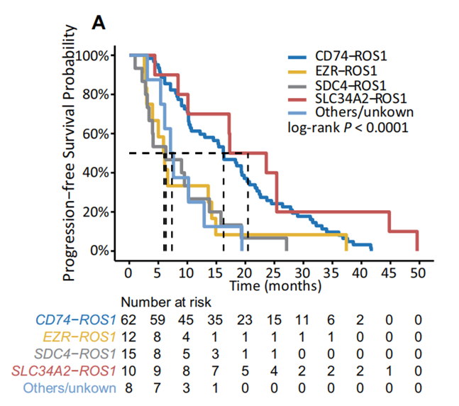 图1. A&B不同ROS1融合伴侣类型对克唑替尼治疗疗效影响不同，且耐药机制不同；C&D TP53突变影响克唑替尼治疗疗效，但对洛拉替尼影响不显著