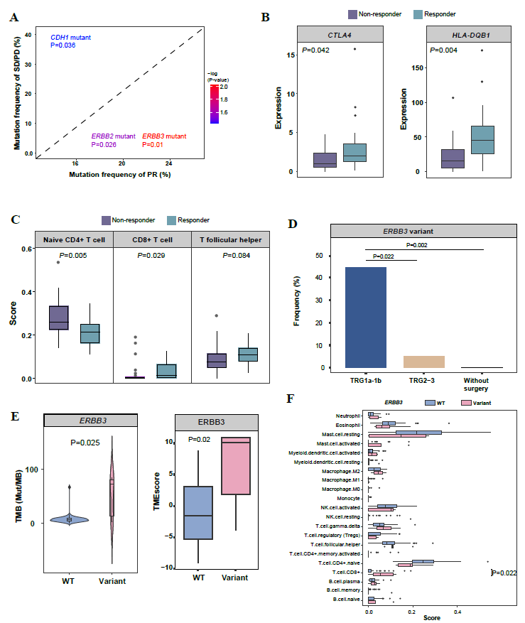 37000vip威尼斯学术文章