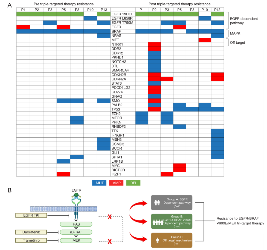 37000vip威尼斯基因学术文章