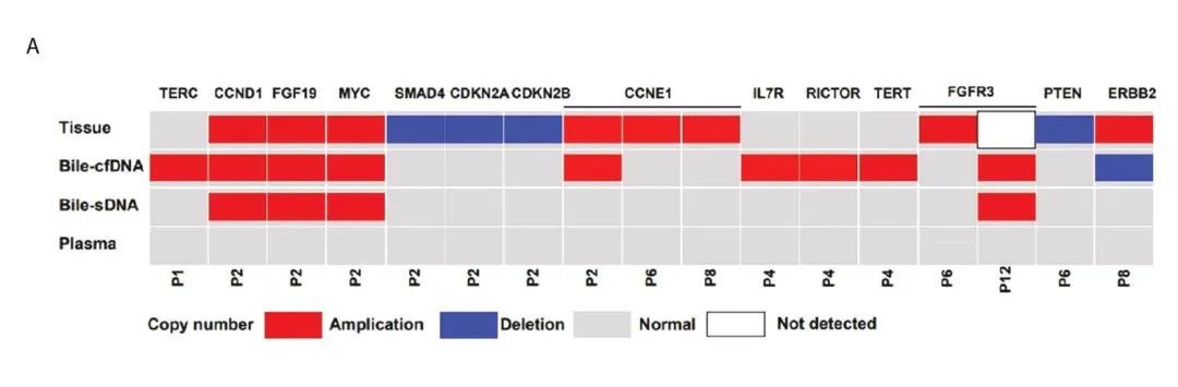微信图片_20220927102938